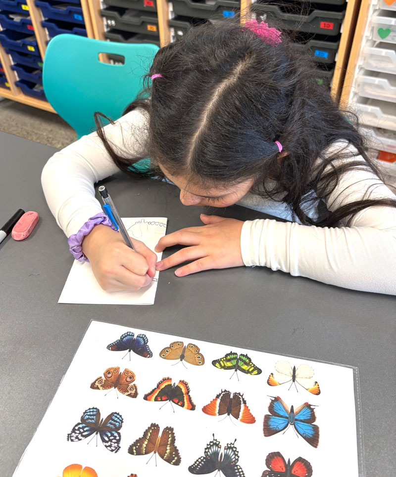 2nd_wingedcreaturesbutterflies