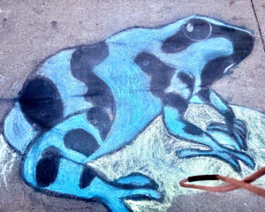 JHMS_chalkArt-Frog Endangered Species Chalk Art project